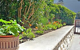 Cozy Apartments Danica Novalja - Ground Floor